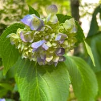 全部私のせい　追記あり