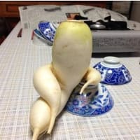 増えてる