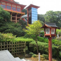 佐賀県鹿島市祐徳稲荷神社　　　　　　　　　　　20240905