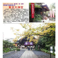 施設案内東京-518   東京大神宮  