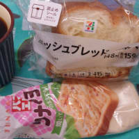 ハンディカム充電