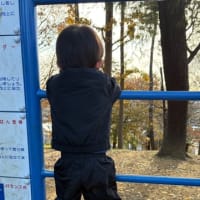 うつわ