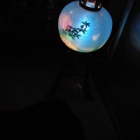 「行雲流水　by Knight」僕の足跡・・・2025。