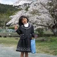 桜満開の入学式！ から早１ヶ月
