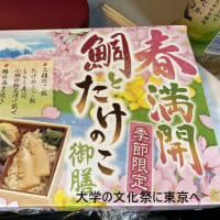 中医会の文化祭に行ってきました