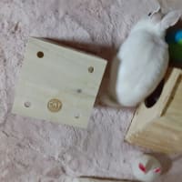 ラビッツ村のまるちゃん疲れたお顔