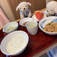またまた入院