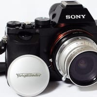 小さくてかわいい超広角レンズ Voigtlander COLOR-SKOPAR 21mm