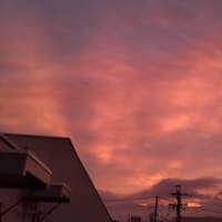 今日いち-2024年9月21日