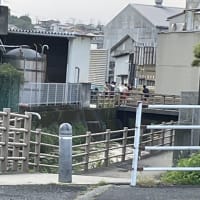 初物のスイカ