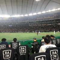 東京ドームにて野球観戦