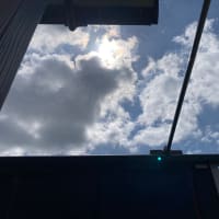 悪すぎて。。