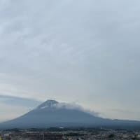 ヨモギを摘みに滝川に行く