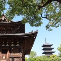 【京都幕間旅情】東寺,こうした日常の記録の膨大蓄積が最終的に玉石混交の一助となるのだろうか