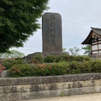 中部山岳国立公園～城跡～戦争遺構　家族旅行その2