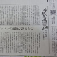 「ジュゴンの痕跡が語るもの」朝日新聞2023・６・４の記事