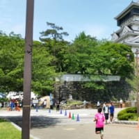ひまわり駅伝大会に参加