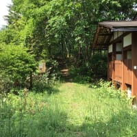 弥勒山日記　(23)　　　　　2015/05/15～2015/06/15