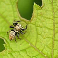 写真の醍醐味　その２　　～人物ショット以外