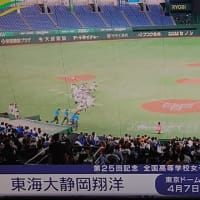 【高校女子硬式野球】【決勝】【高校野球】【東京ドーム】【応援】