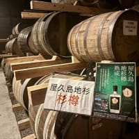 越前浜富潜水部屋久島活動報告♬