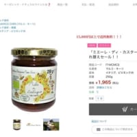 春のお得なセール！
