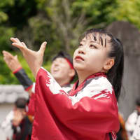 犬山踊芸祭２０２４　一粋