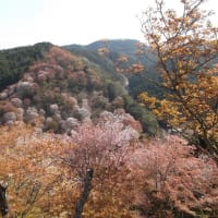 暑いです