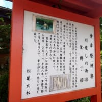 雨の降る季節を目指して京都へ。それにしてもアジア系観光客は酷すぎますね
