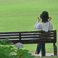 皐月の公園情景　その　5