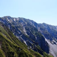 新緑の大山さんへ　最終回　5月10日登山分