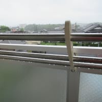 休養の雨