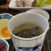 五年ぶりの日帰り旅行　淡路島三年トラフグを食す。