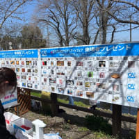 第4回若泉公園桜まつり&本庄クラフトアートフェア