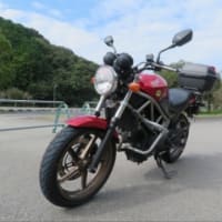 バイクには乗っています