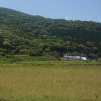 山陽新幹線500系　まぶしい新緑の中を駆ける　2024-05-04