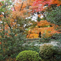 茨木　大門寺の紅葉