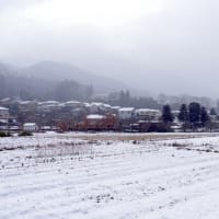 大原雪景色