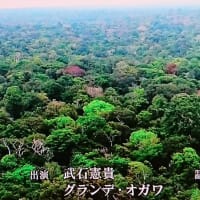 人の風景　emiko life  317話   NHK「怪魚ハンターが行く」を見て