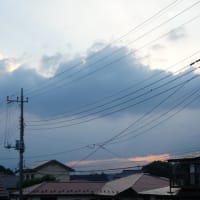 石破総理の応援を拒否した自民候補が話題に…党内崩壊の予兆と総理不要論の現実！( ｀ー´)ノ
