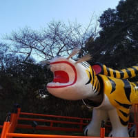 寅のお寺　信貴山朝護孫子寺