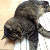 油断しまくり