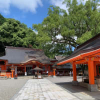 熊野古道（大門坂～那智大社）