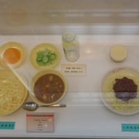 世界で唯一！あの懐かしい子供時代に浸れる給食の博物館が、埼玉県にあるぞ！
