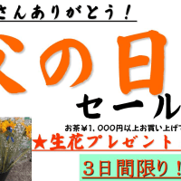 父の日に美味しい日本茶を！・・・お花のプレゼント！今日までですよ～。