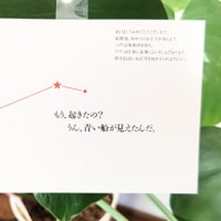 お墓について