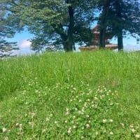 にこパパ・ママのちょっとそこまで【ゆっくり歩け歩け「紫色あやめ園・朱色多賀城南門開放」】　