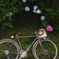 ６月のランドナー