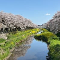 外国人の介助者の方々…サラマッポ！