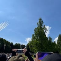 万博記念公園（太陽の塔）・展示飛行2日目の「ブルーインパルス」